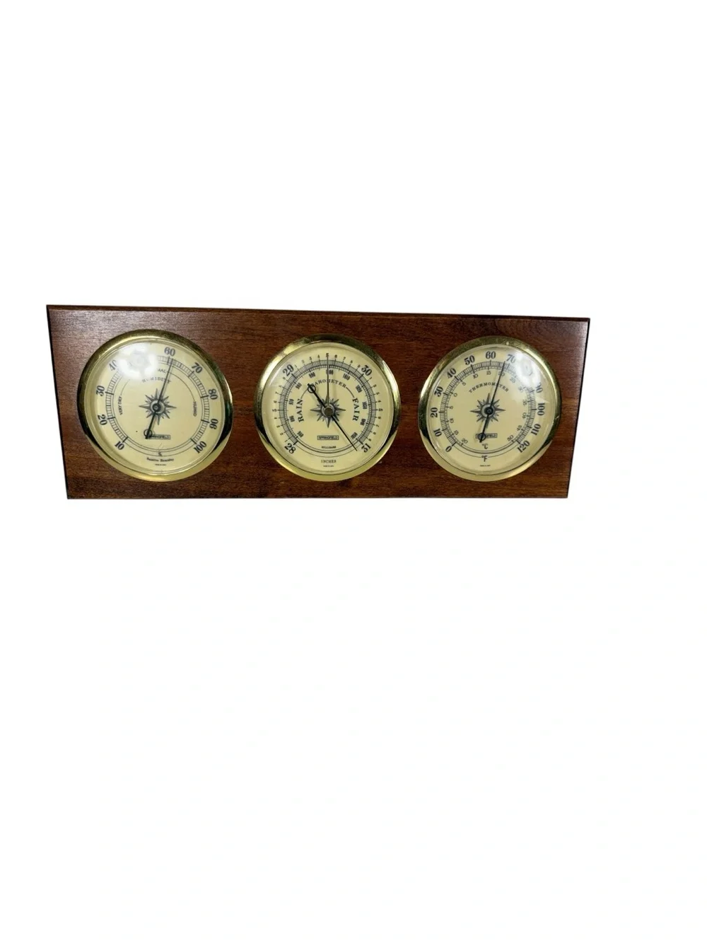 Wall-Mounted Triple Weather Station
